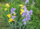 DSCN0263