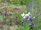 DSCN0264