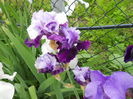 DSCN0266