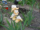 DSCN0270