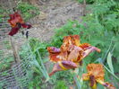 DSCN0271
