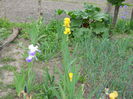 DSCN0272