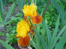 DSCN0273
