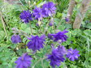 DSCN0274