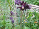 DSCN0275