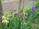 DSCN0277