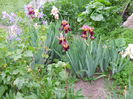 DSCN0278