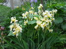 DSCN0280