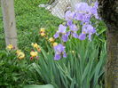 DSCN0282