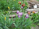 DSCN0284