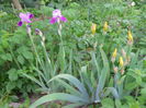 DSCN0285
