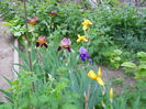 DSCN0286