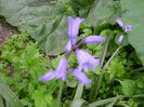 DSCN0288