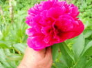 DSCN0289