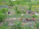 DSCN0290