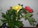 DSCN0305