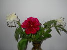 DSCN0306