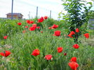 DSCN0318