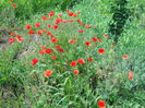 DSCN0328