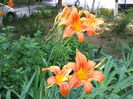 DSCN0364