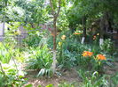 DSCN0368