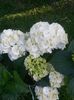 20140705_192645