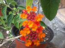 20140706_183217