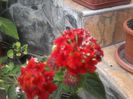 20140706_183224