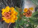 20140706_183151