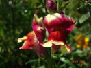 DSC05696