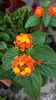20140706_142334