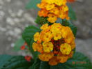 DSC05728