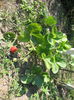 pictures 224