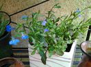 20140708_164811