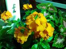 20140708_164631