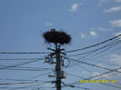 Beclean-Fagaras