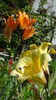 DSC03080