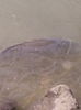 IMG_20140624_111122
