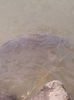 IMG_20140624_111129