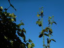 DSCN0121