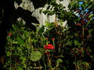 DSCN0122