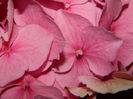 DSCN0151