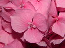 DSCN0152
