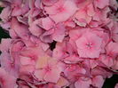 DSCN0153