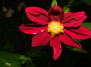 DSCN0156
