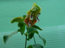 DSCN0160