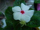 DSCN0164