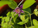 DSCN0167