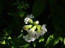 DSCN0188