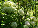 DSCN0196